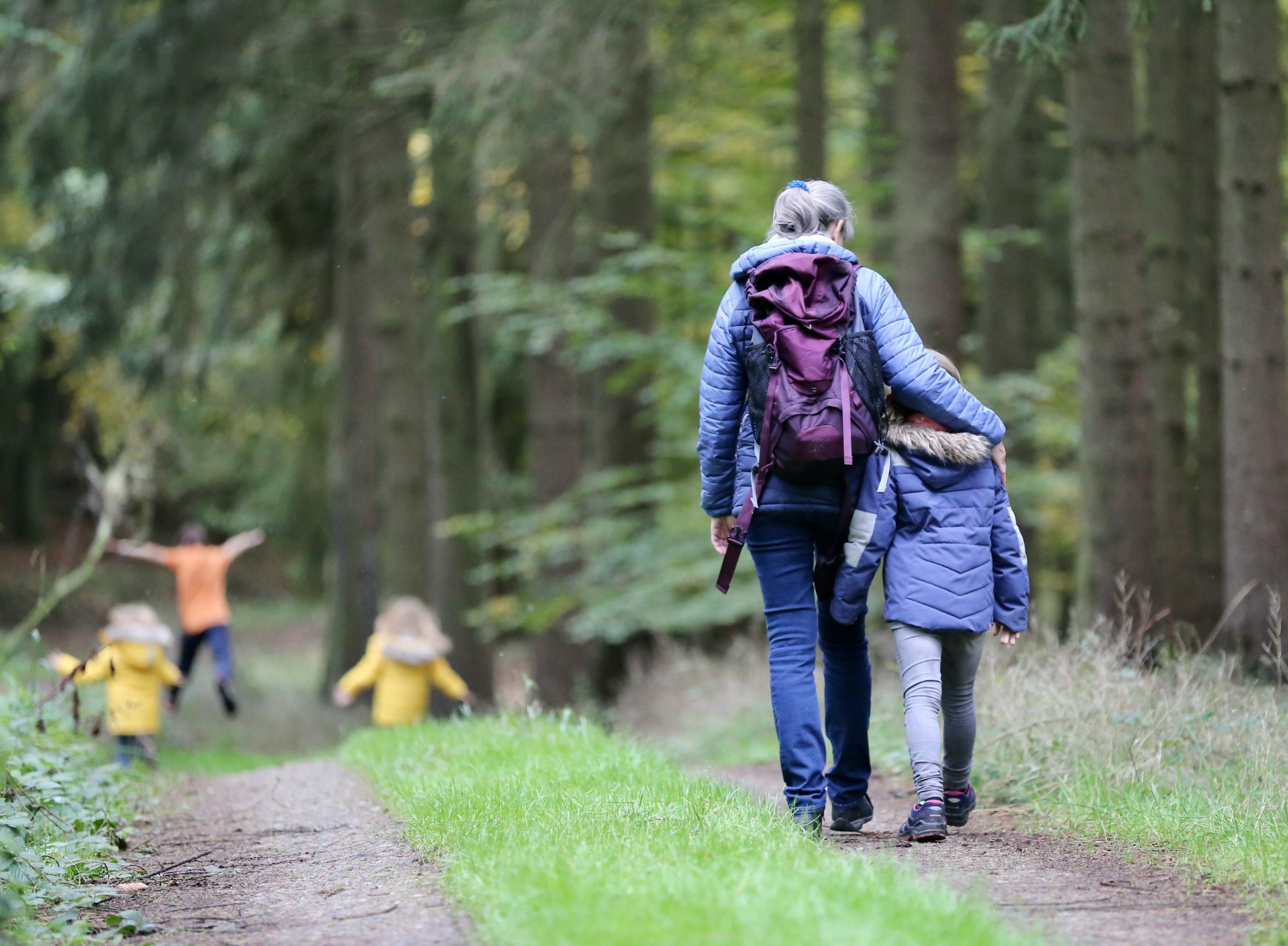 An adult and children exploring a forest