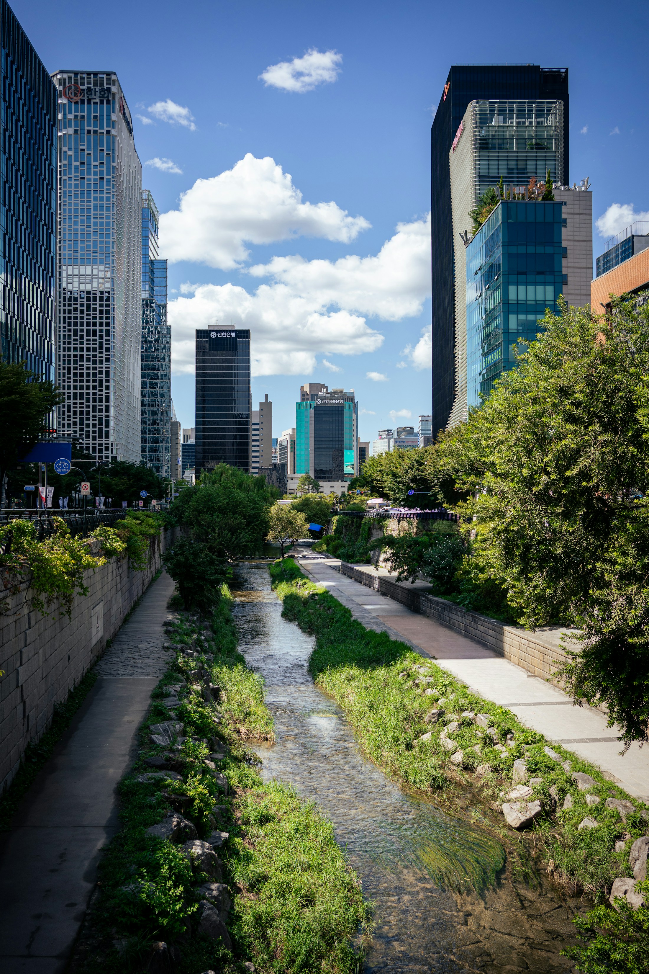 Lush Cheonggyecheon stream flowing between modern buildings in Seoul